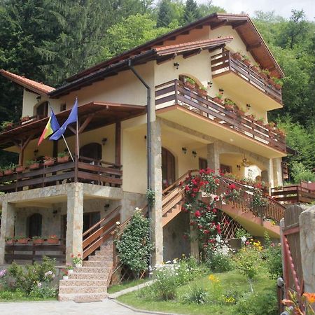 Casa Anca Boutique Hotel Тимишос Екстериор снимка