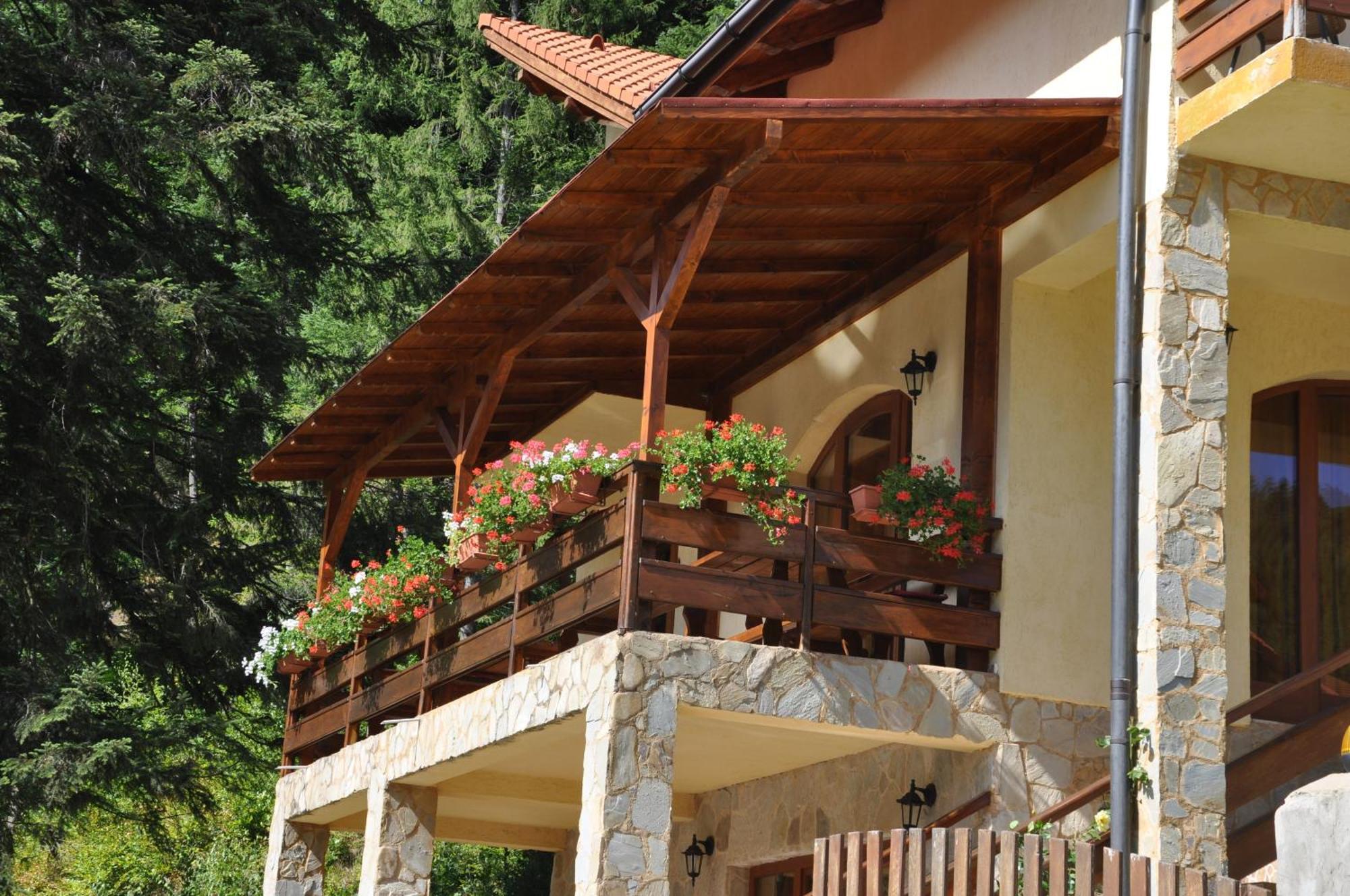 Casa Anca Boutique Hotel Тимишос Екстериор снимка