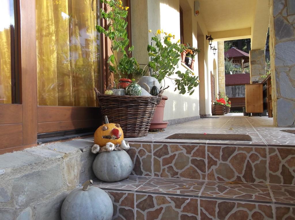 Casa Anca Boutique Hotel Тимишос Екстериор снимка