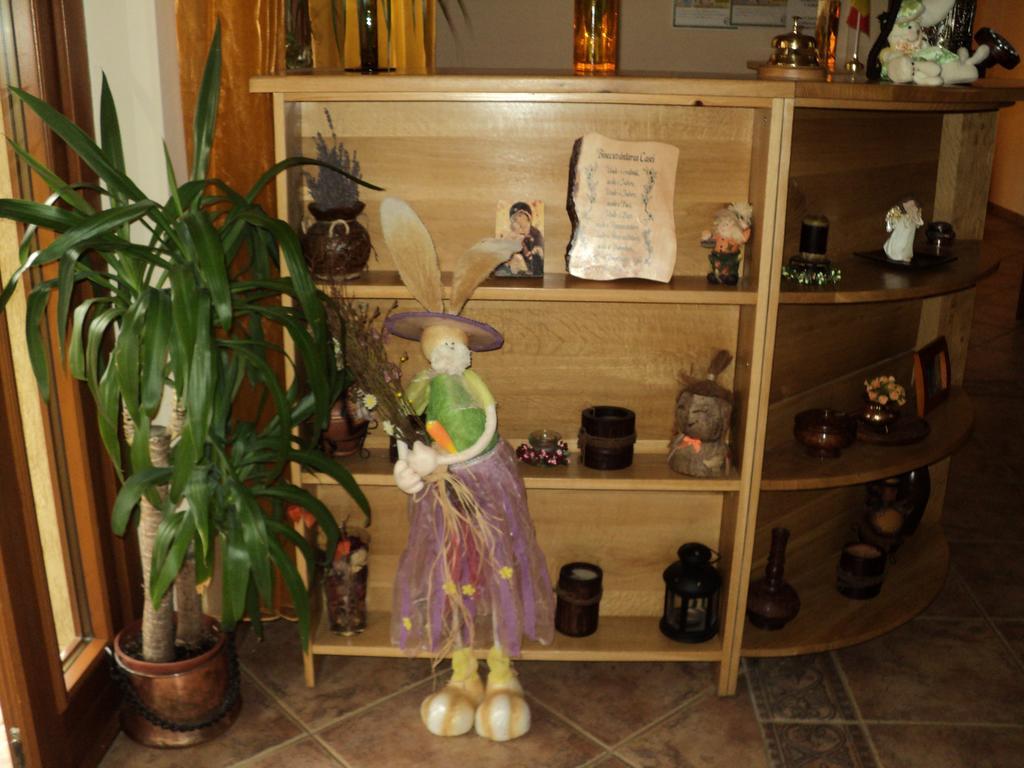 Casa Anca Boutique Hotel Тимишос Екстериор снимка