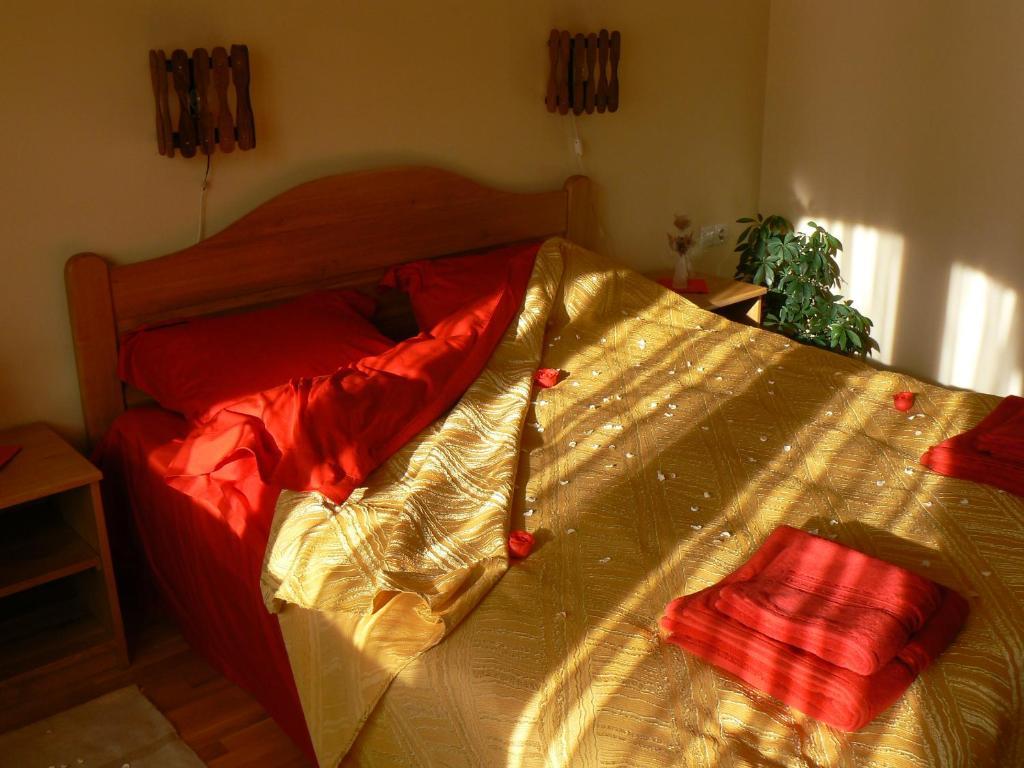 Casa Anca Boutique Hotel Тимишос Екстериор снимка