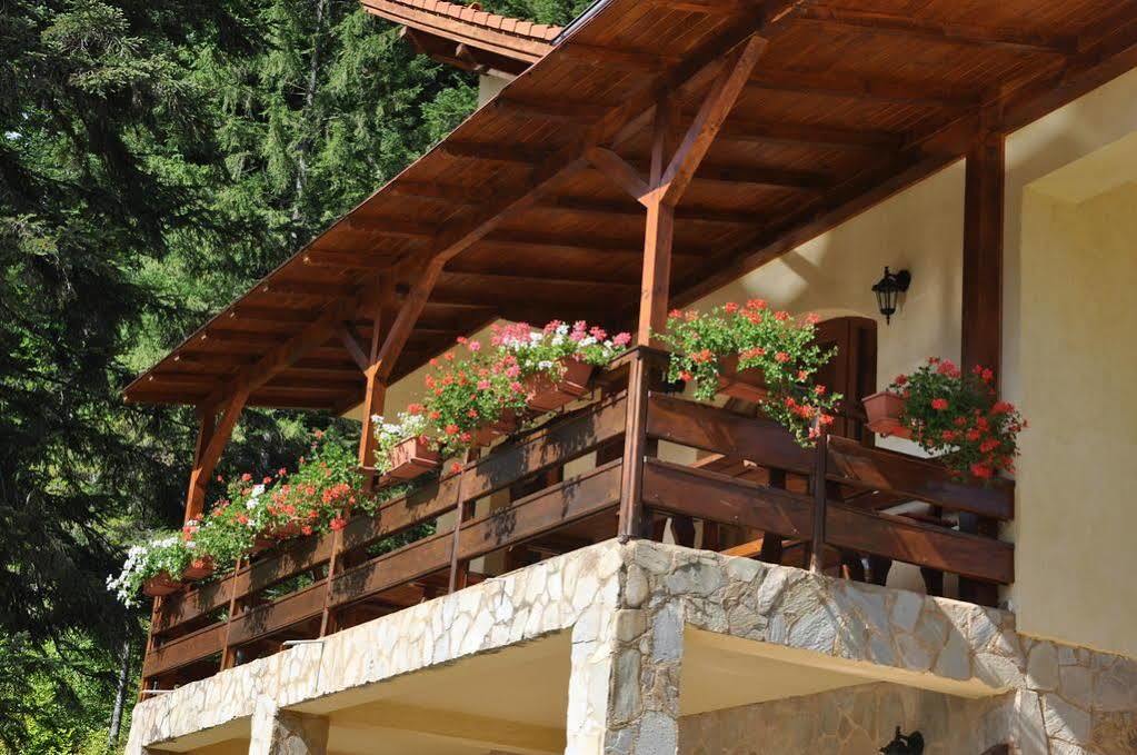 Casa Anca Boutique Hotel Тимишос Екстериор снимка